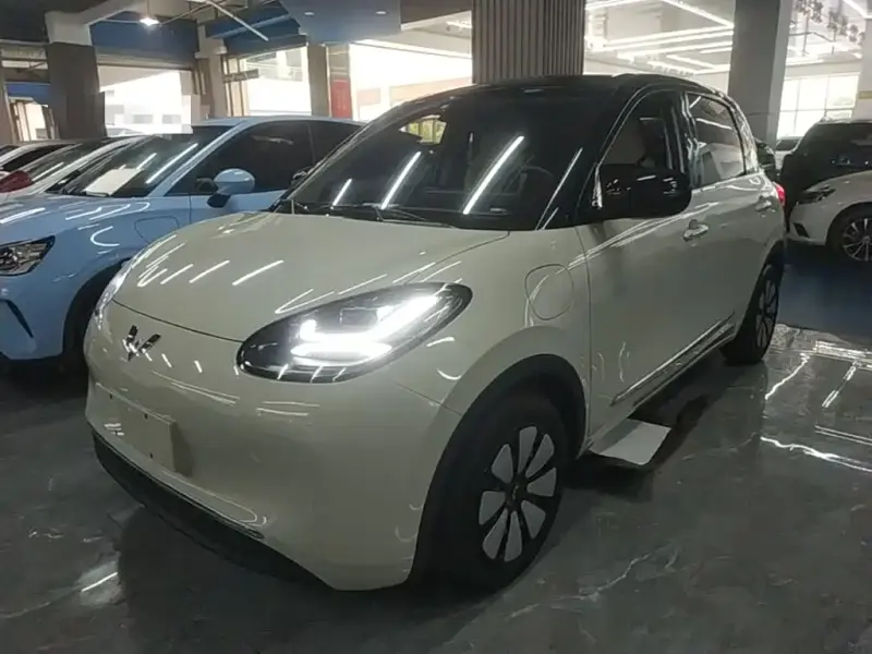 Wuling Bingo, 2024