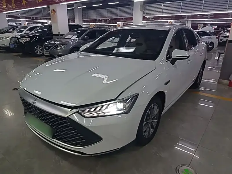 BYD Qin PLUS, 2024