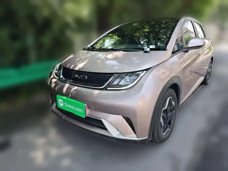 BYD Dolphin, 2022