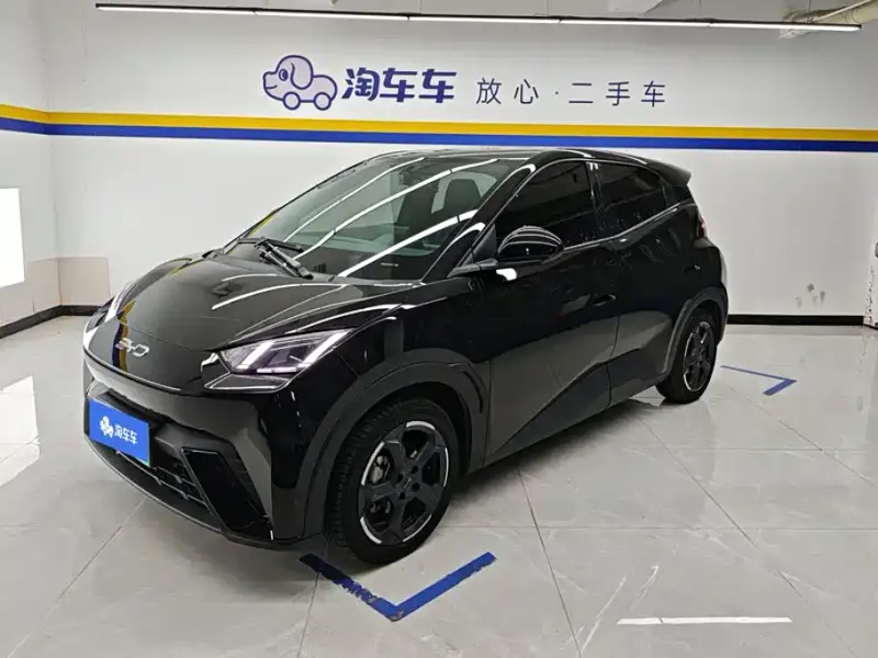 BYD Seagull, 2023