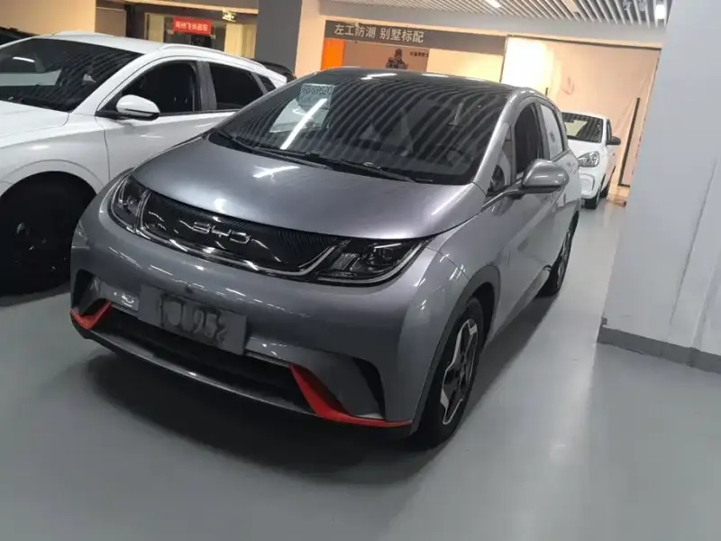 BYD Dolphin, 2022