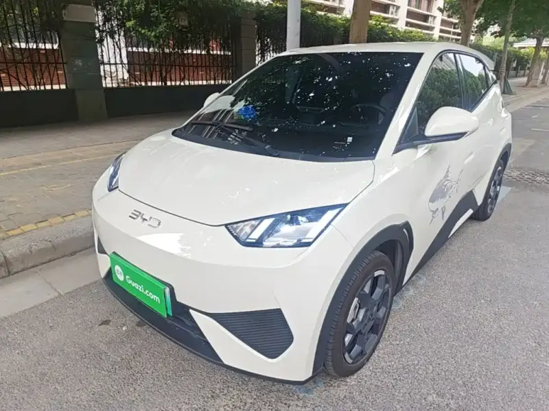 BYD Seagull, 2025