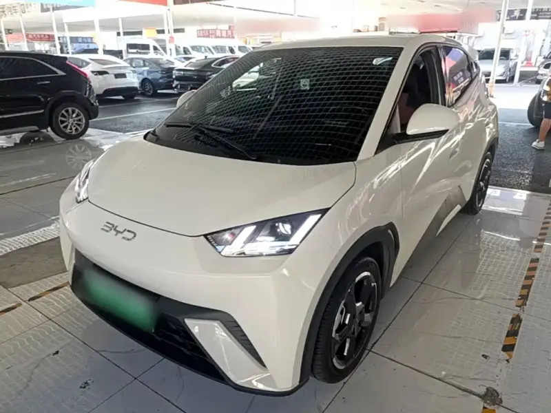 BYD Seagull, 2024