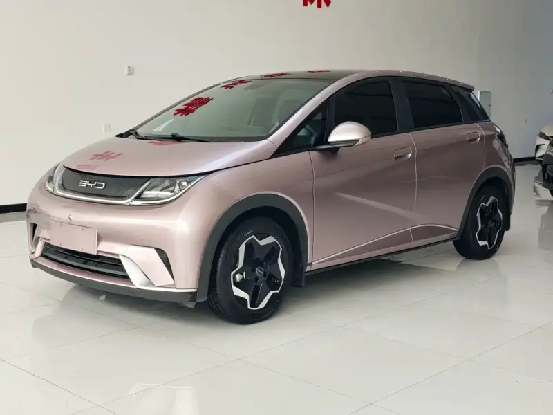 BYD Dolphin, 2022