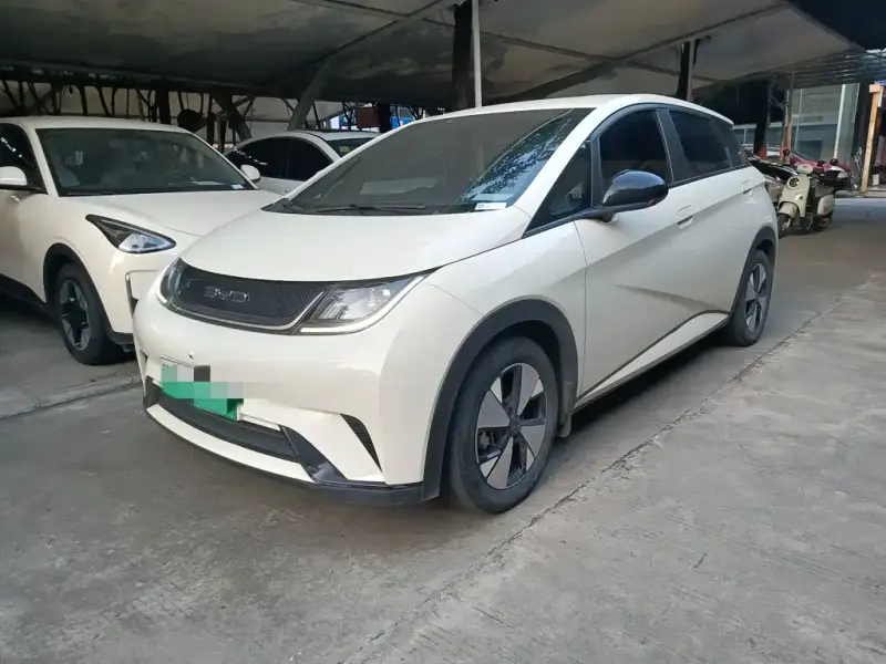 BYD Dolphin, 2023