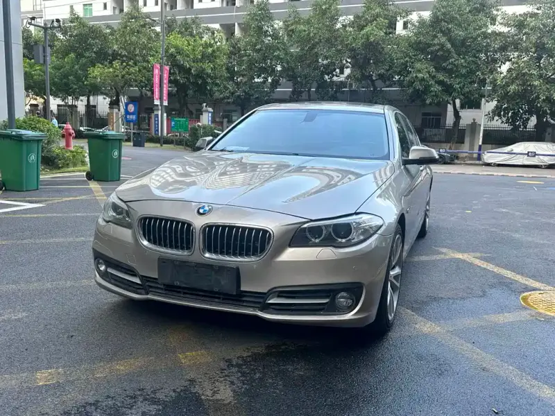 BMW 5 Series, 2014