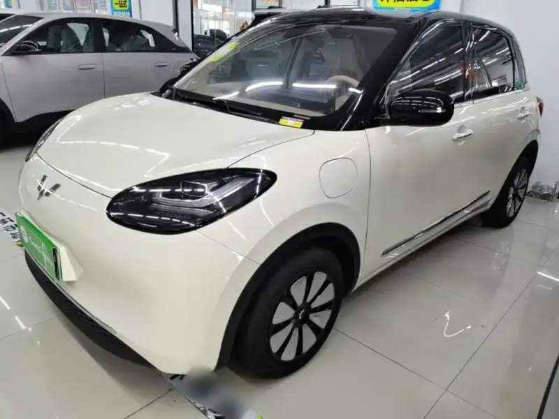 Wuling Bingo, 2026