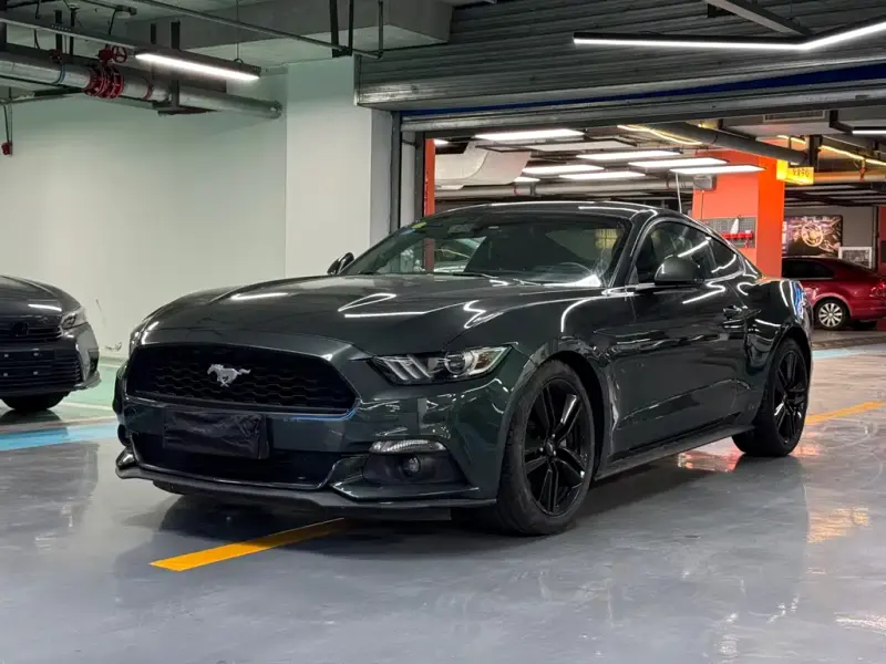 Ford Mustang, 2015 — фото 1
