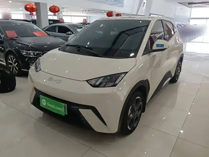 BYD Seagull, 2024