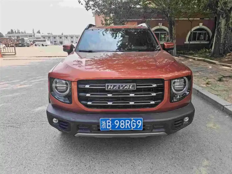 Haval Big Dog, 2021 — фото 1