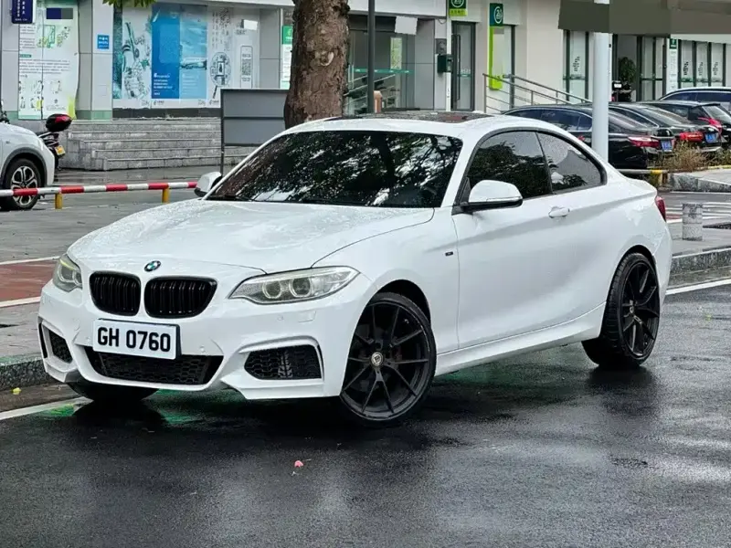 BMW 2 Series (Import), 2014