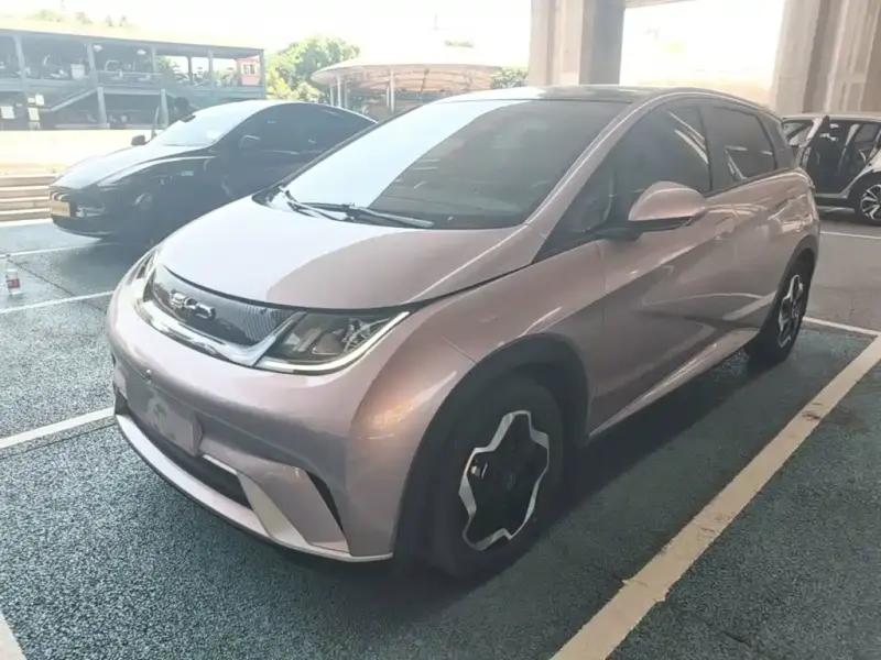 BYD Dolphin, 2022