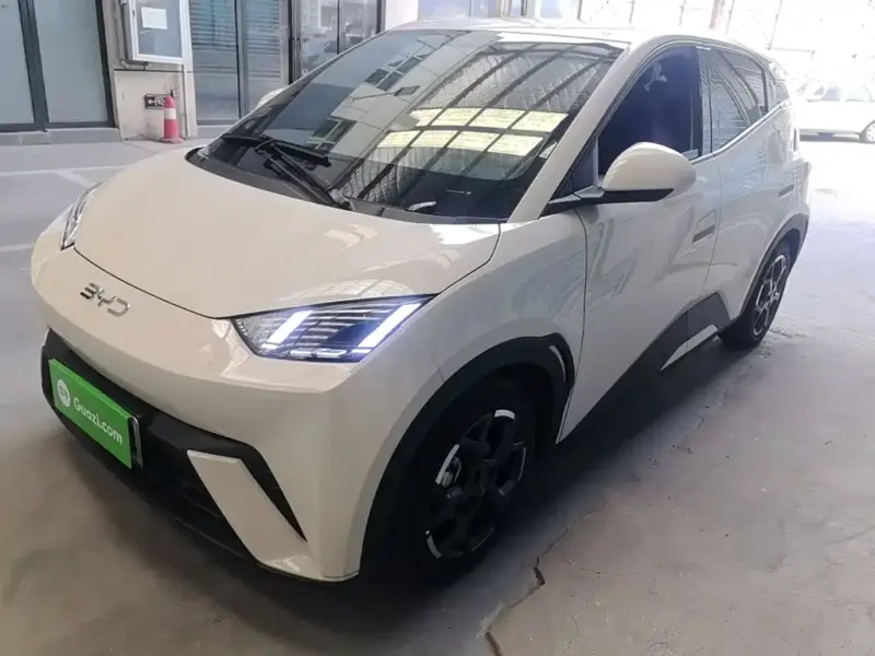 BYD Seagull, 2025