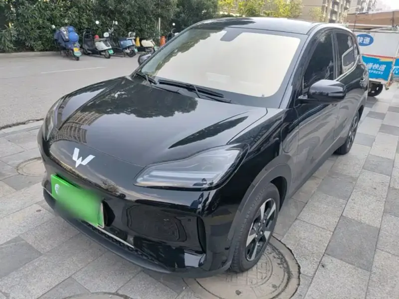 Wuling Bingo PLUS, 2024