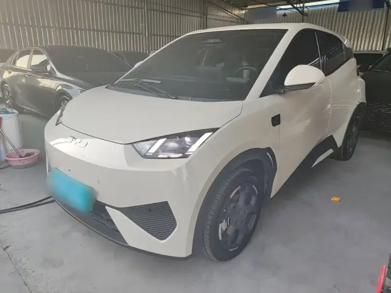 BYD Seagull, 2026