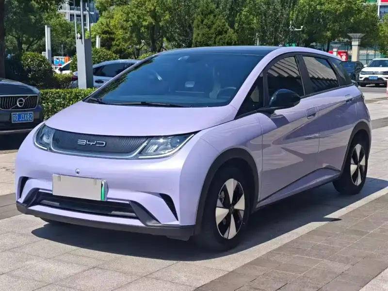 BYD Dolphin, 2024