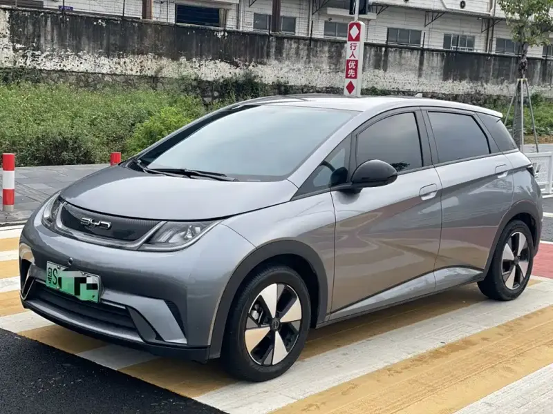 BYD Dolphin, 2024