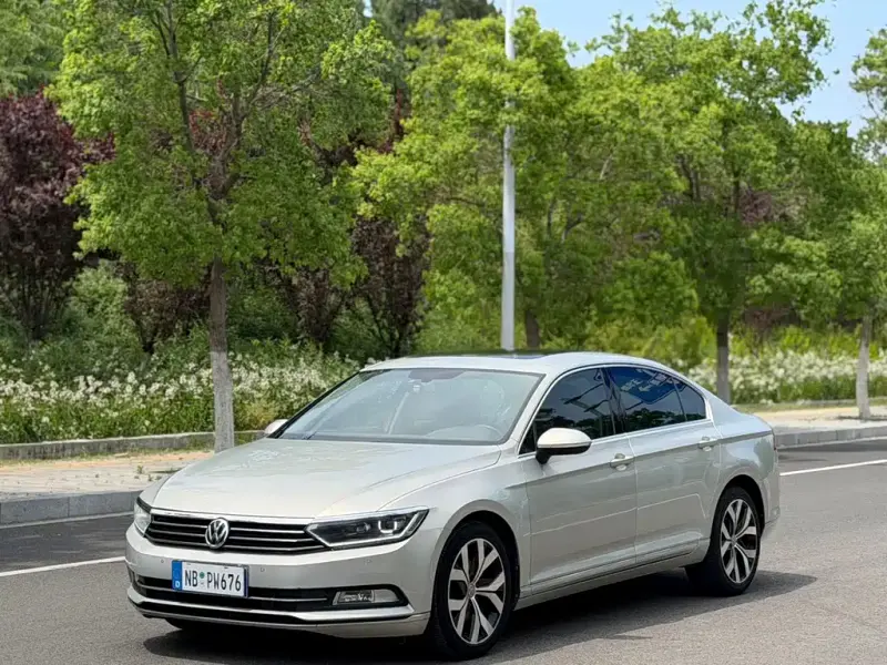 Volkswagen Magotan, 2019