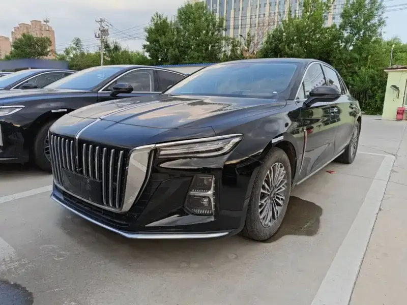 Hongqi H5, 2024