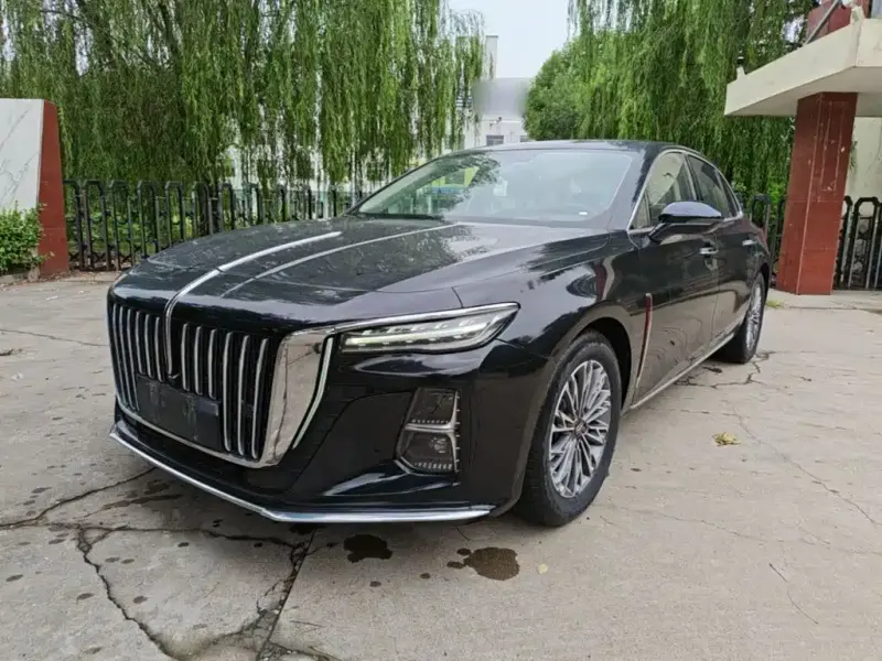 Hongqi H5, 2024