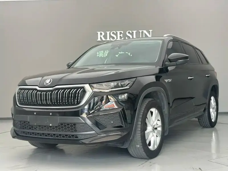 Skoda Kodiaq, 2024