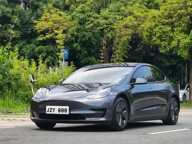 Tesla Model 3, 2021