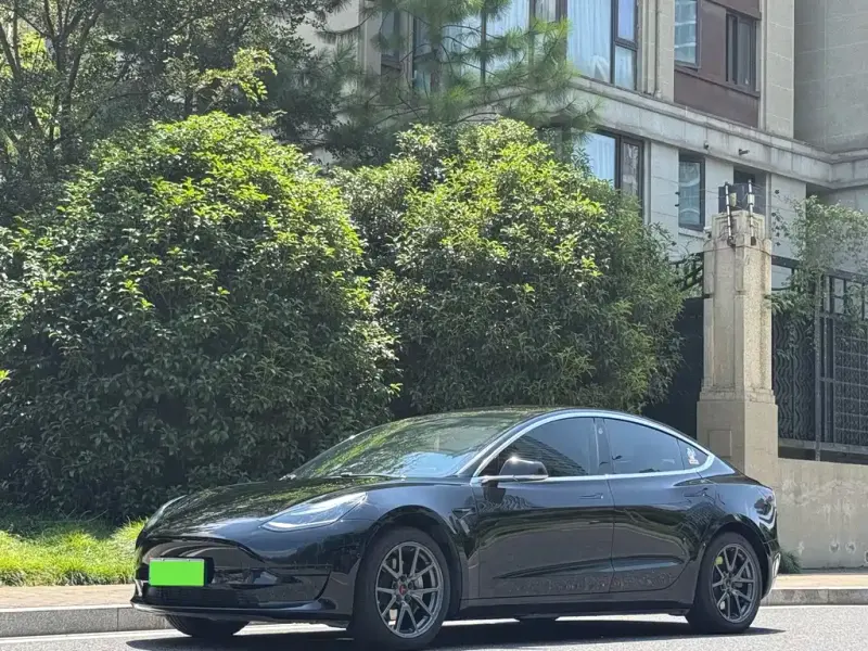 Tesla Model 3, 2020