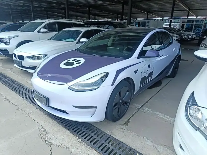 Tesla Model 3, 2019