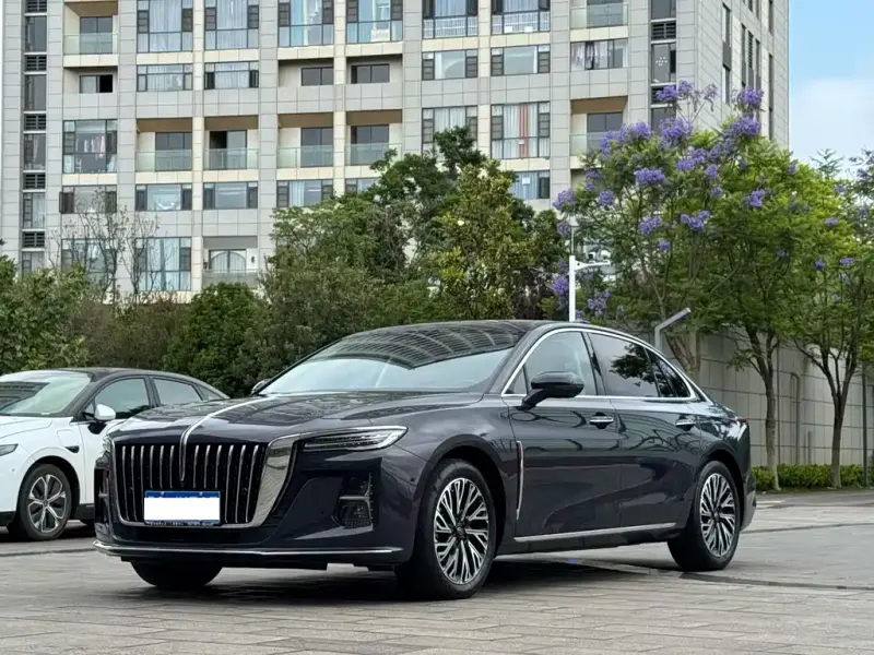 Hongqi H5, 2024