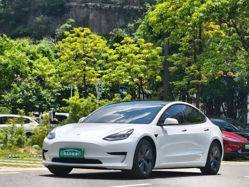 Tesla Model 3, 2021