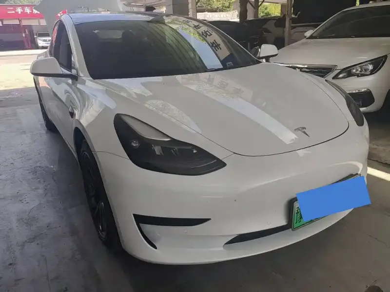 Tesla Model 3, 2021