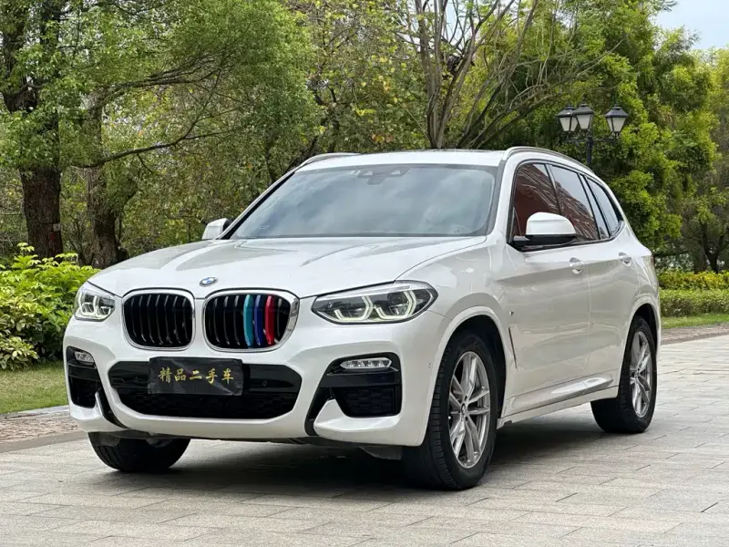 BMW X3, 2019 — фото 1
