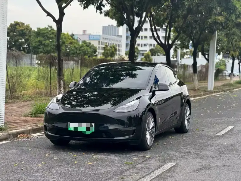 Tesla Model Y, 2021