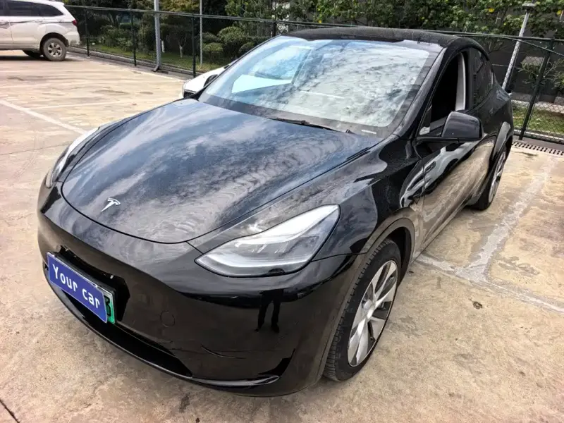 Tesla Model Y, 2022