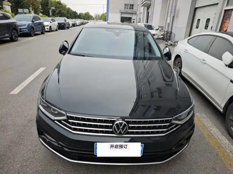 Volkswagen Magotan, 2024
