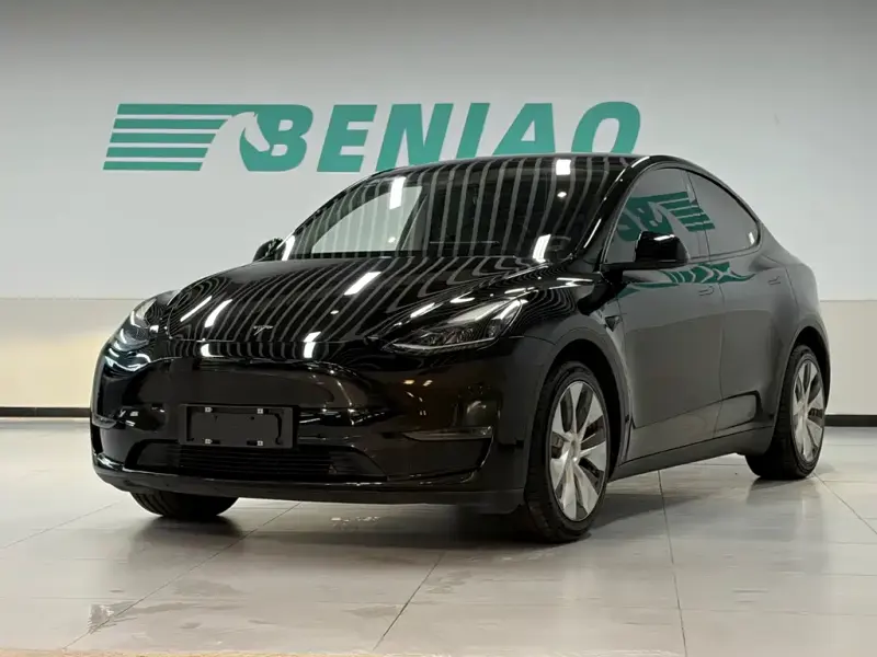 Tesla Model Y, 2021