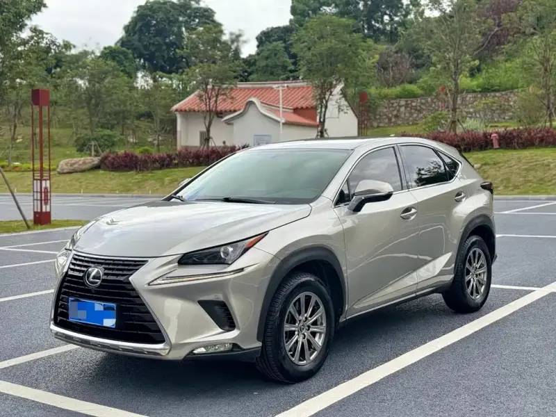 Lexus NX, 2021