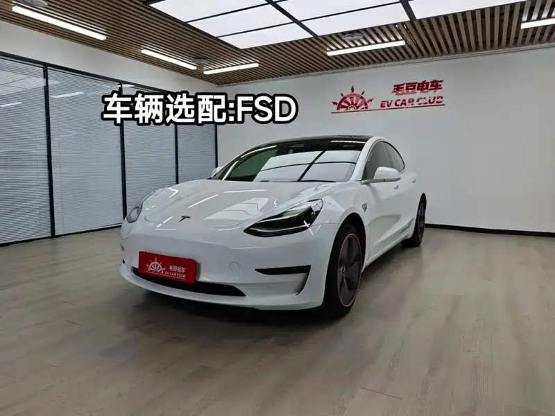 Tesla Model 3, 2019