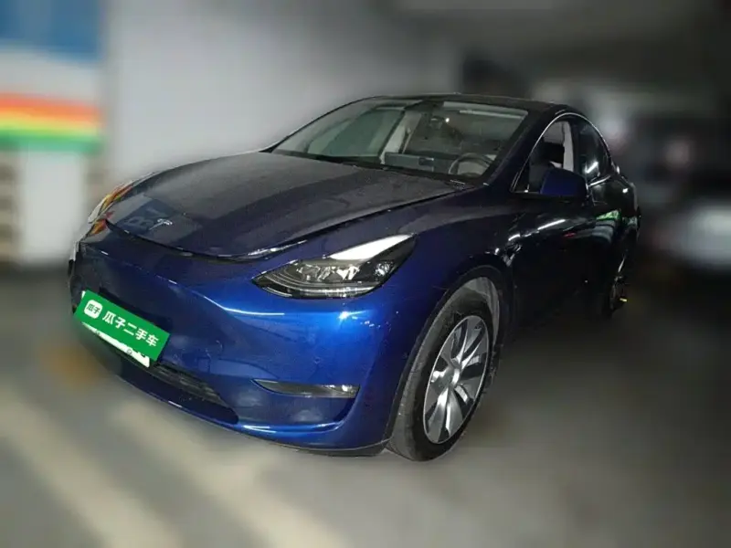 Tesla Model Y, 2021