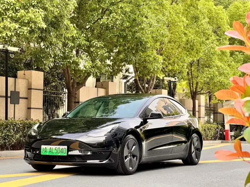 Tesla Model 3, 2023