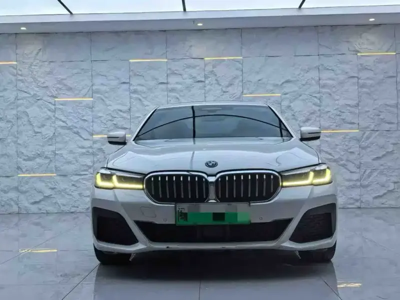 BMW 5 Series New Energy, 2022