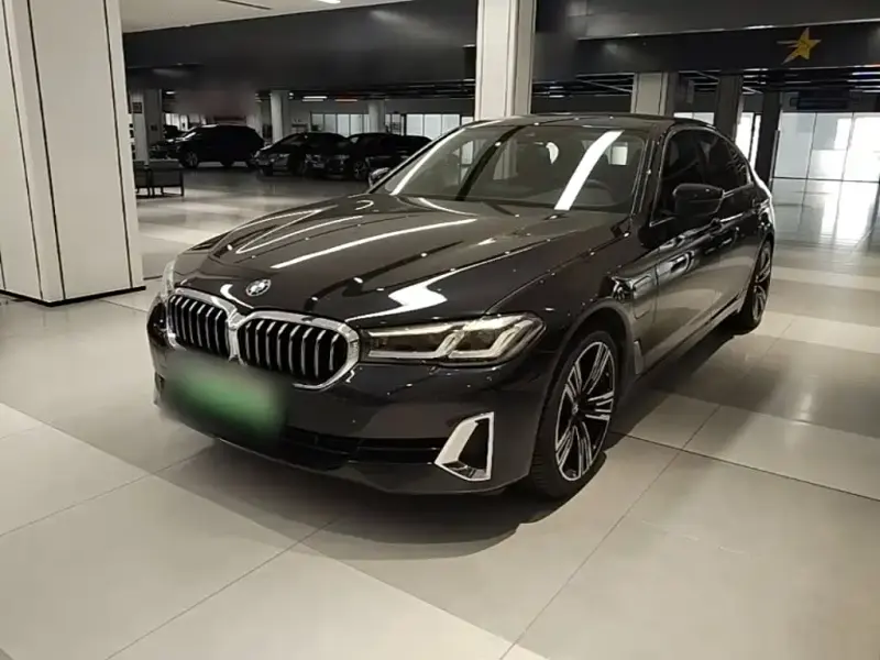 BMW 5 Series New Energy, 2021