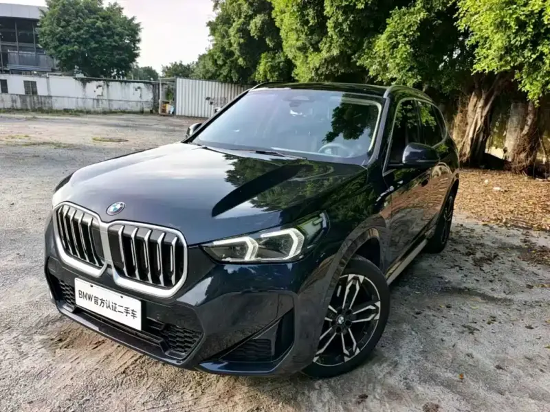 BMW X1, 2024