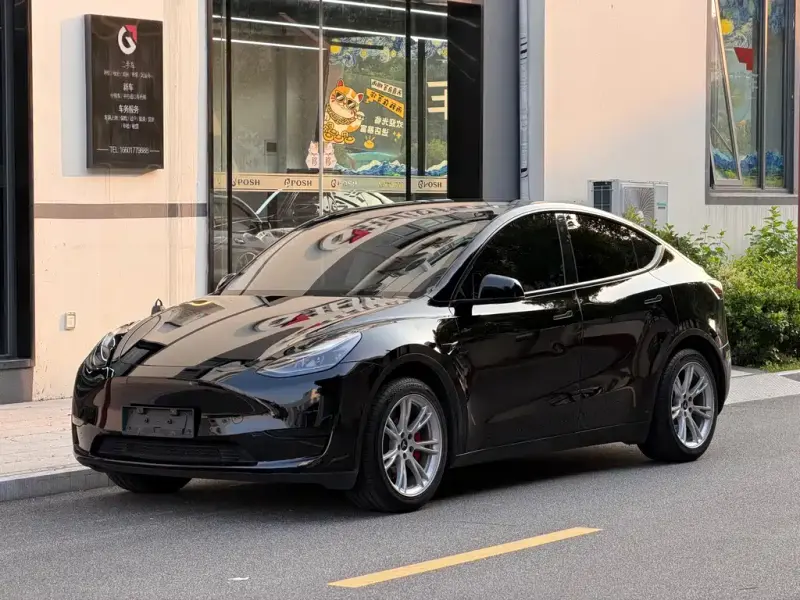 Tesla Model Y, 2023