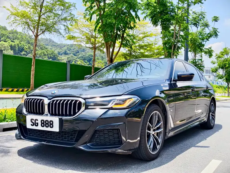 BMW 5 Series New Energy, 2021
