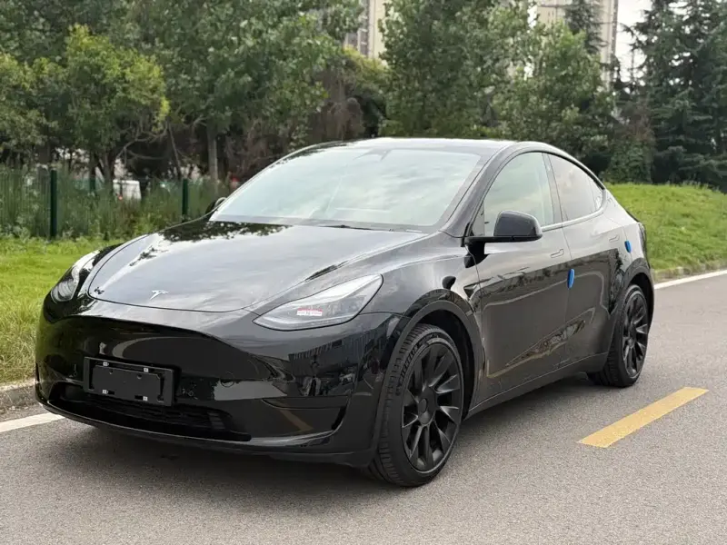 Tesla Model Y, 2022