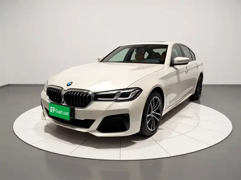 BMW 5 Series New Energy, 2021