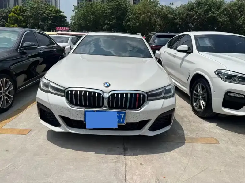 BMW 5 Series, 2020