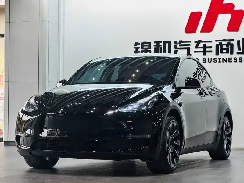 Tesla Model Y, 2024
