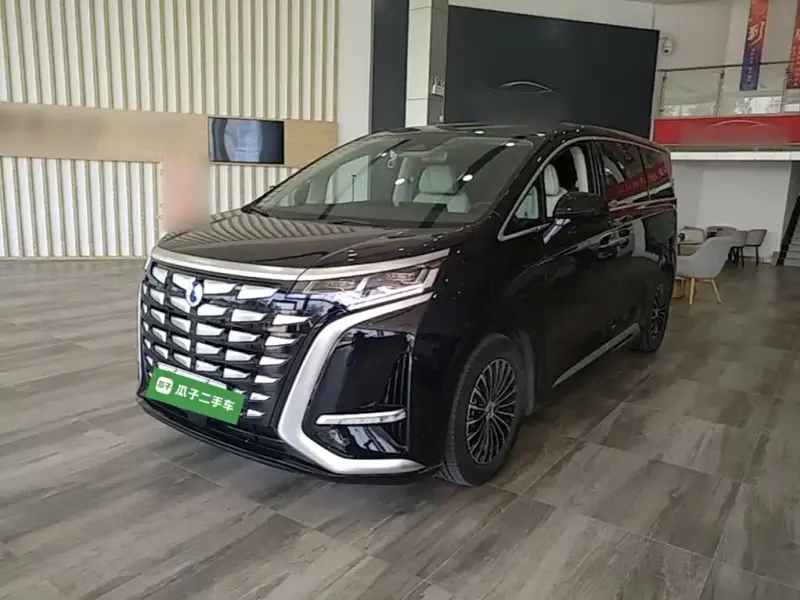 Denza D9, 2024